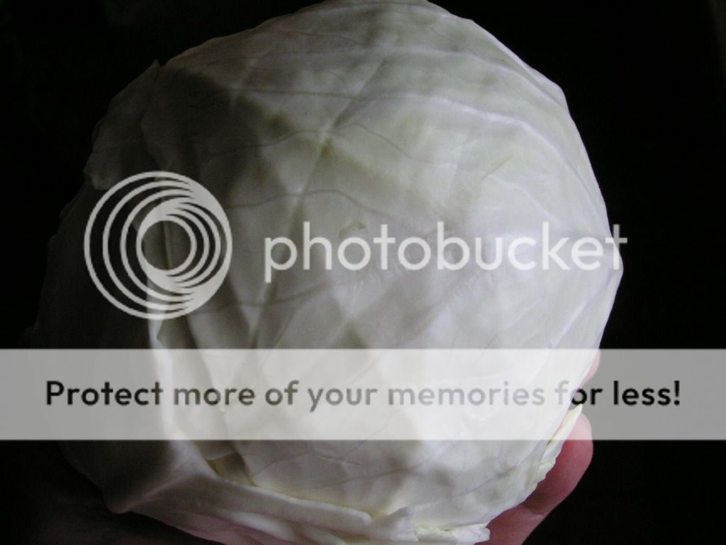 cabbage safe to eat in fridge for 2 month My Tractor Forum