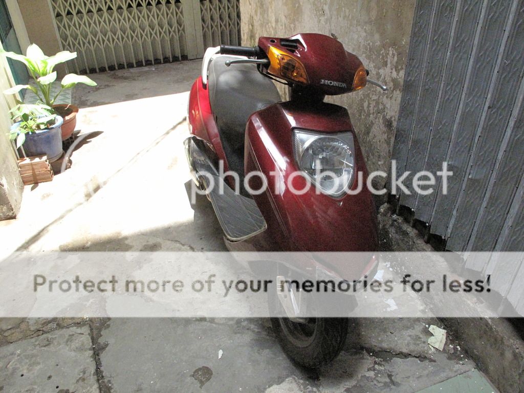 bán xe ga honda @steam - 1