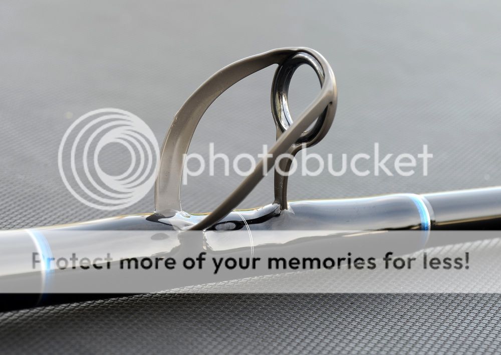 fresh daytime swordfish rod Bloodydecks