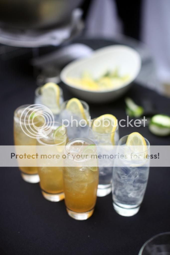 photo IMG_1398s.jpg