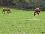 DSC02485.jpg image by BMYPAL-R