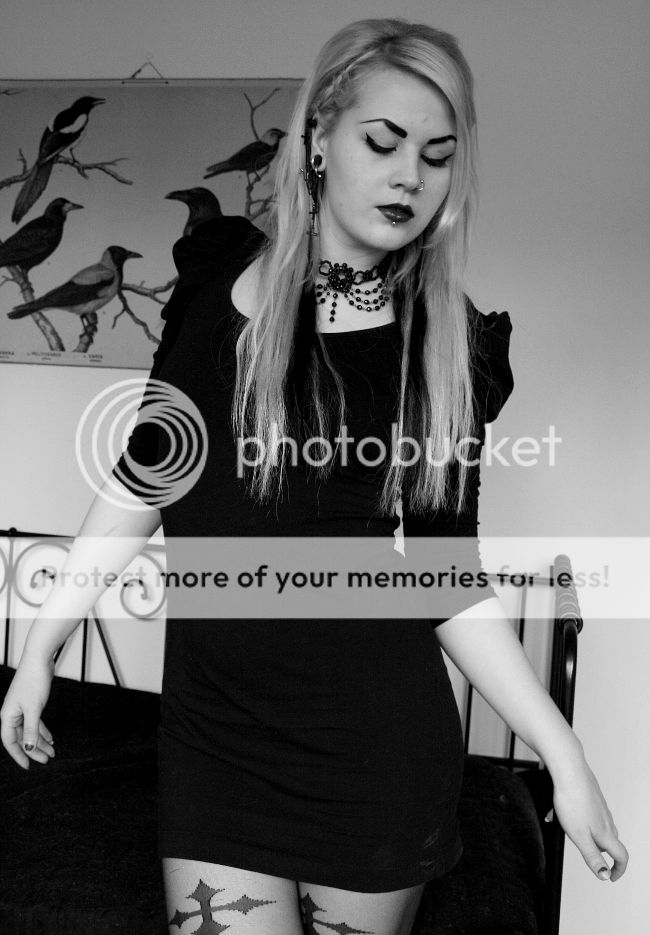 photo 4_zpse0f586b6.jpg