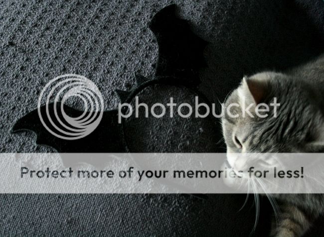 photo 4_zpsxddnmczh.jpg