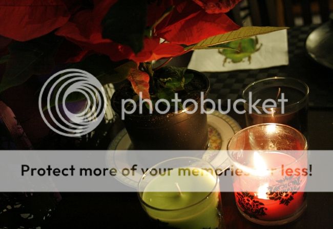 photo 6_zpse303a87b.jpg