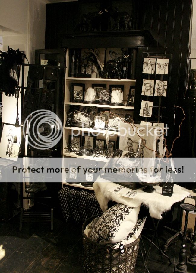 photo b5_zpsagmiqmnd.jpg