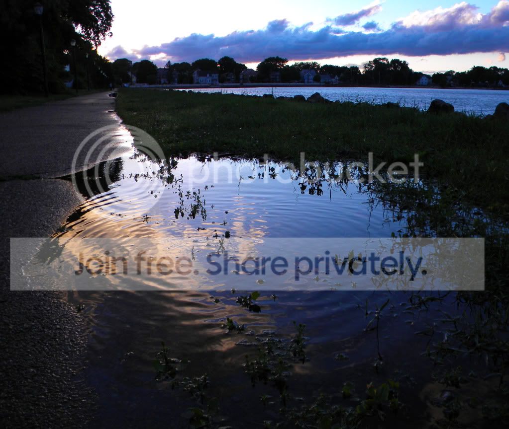 Puddle Before Sunset photo PuddleReflection.jpg
