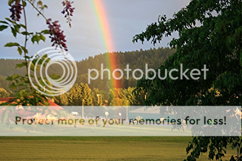 06fa09a9-753d-4f20-ad49-fe6faaee07e6_zps